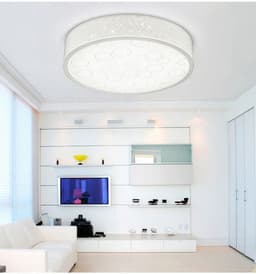 #13850 CEILING LIGHT