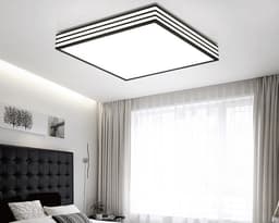 #13851 CEILING LIGHT