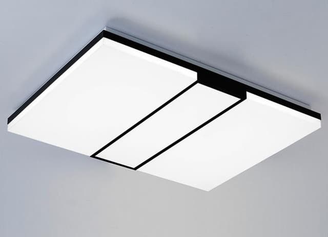 #13853 CEILING LIGHT