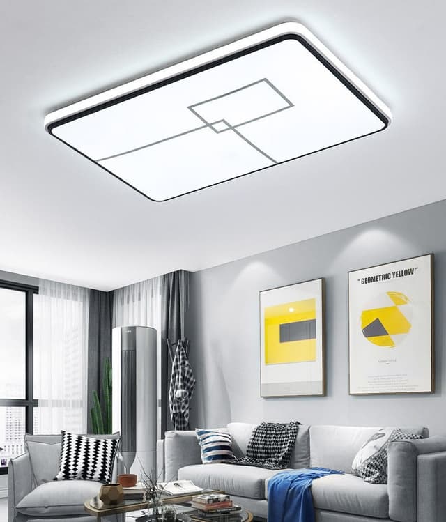 #13854 CEILING LIGHT