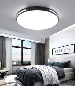 #13856 CEILING LIGHT