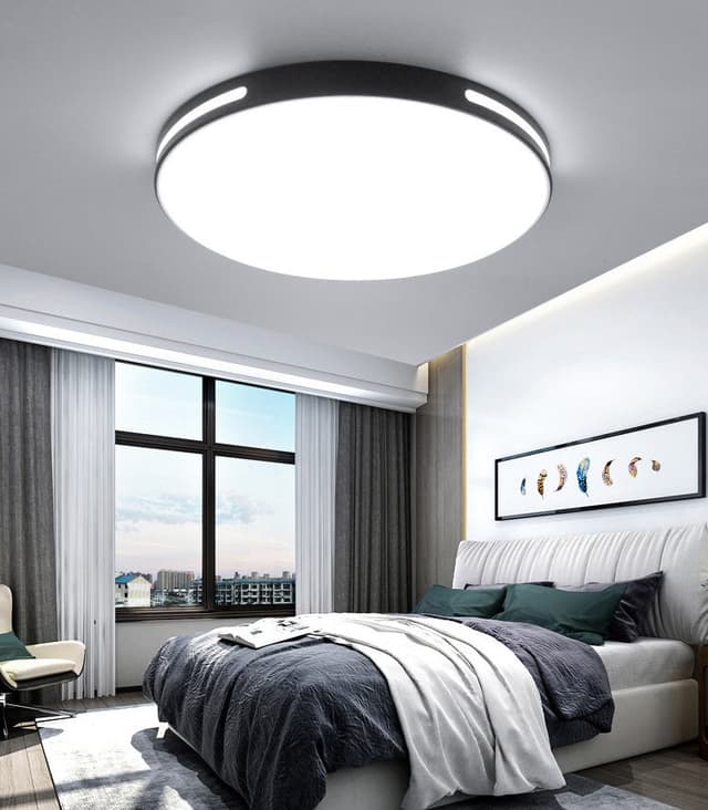 #13856 CEILING LIGHT