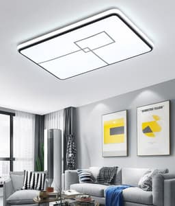 #13854 CEILING LIGHT