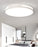 #13857 CEILING LIGHT