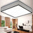 #13851 CEILING LIGHT
