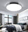 #13856 CEILING LIGHT