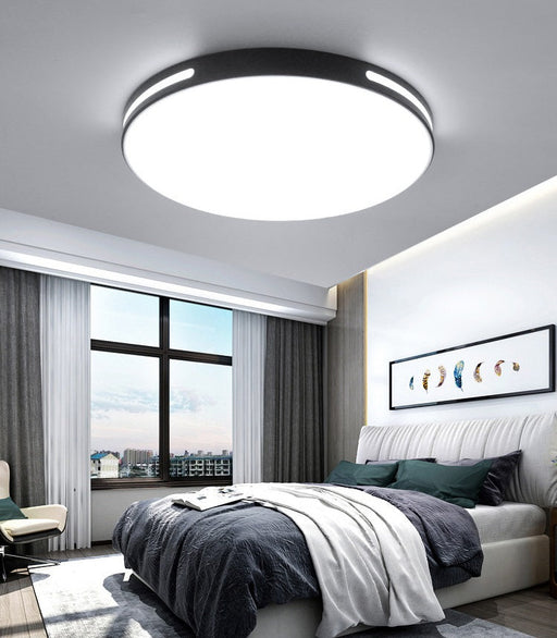 #13856 CEILING LIGHT