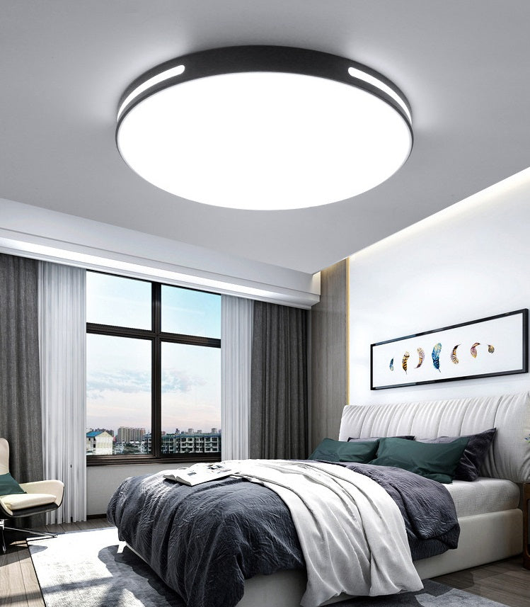 #13856 CEILING LIGHT