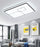 #13854 CEILING LIGHT