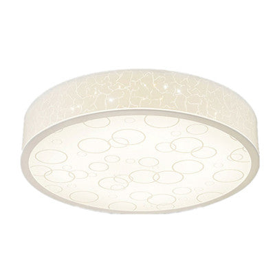 #13850 CEILING LIGHT