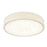 #13850 CEILING LIGHT