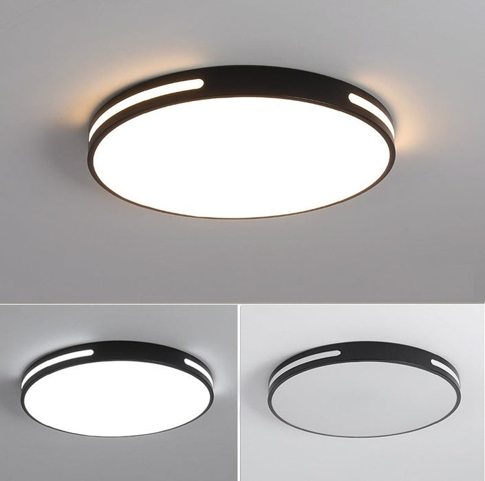 #13856 CEILING LIGHT