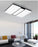 #13853 CEILING LIGHT