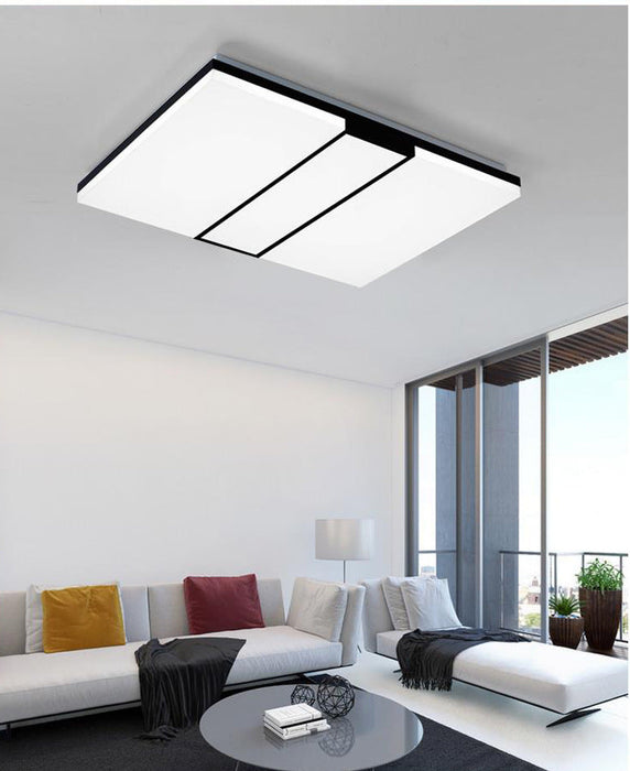 #13853 CEILING LIGHT