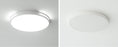 #13857 CEILING LIGHT