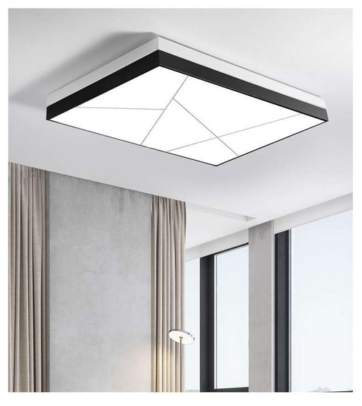 #13855 CEILING LIGHT