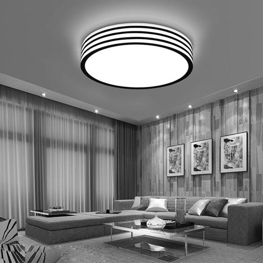 #13852 CEILING LIGHT