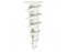 #6N+SCREWS, WALL DRILLER NYLON VERSION (100 PCS)