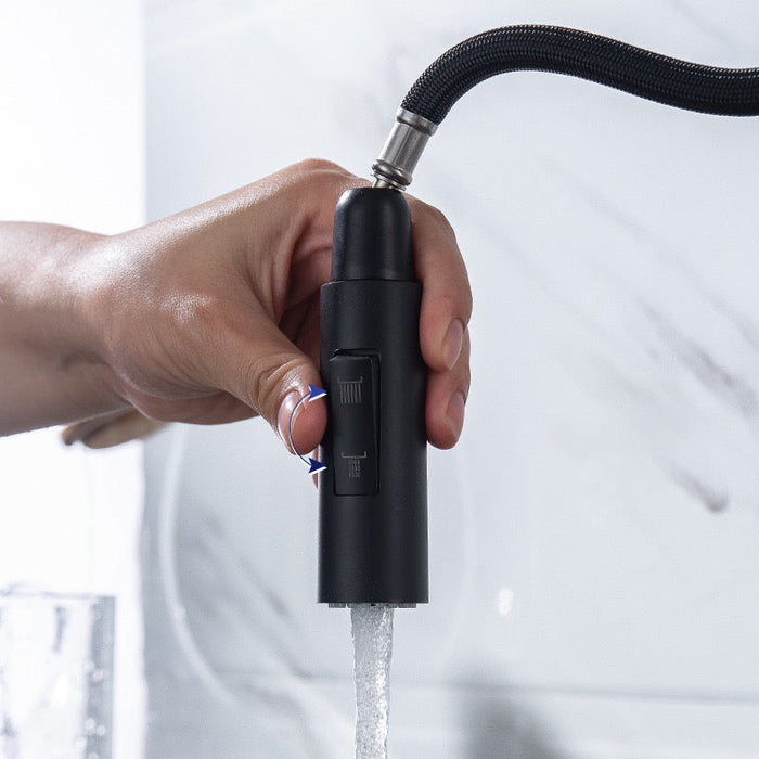 Quality Black Sink Faucet steel mixer faucet  with pull out Sprayer