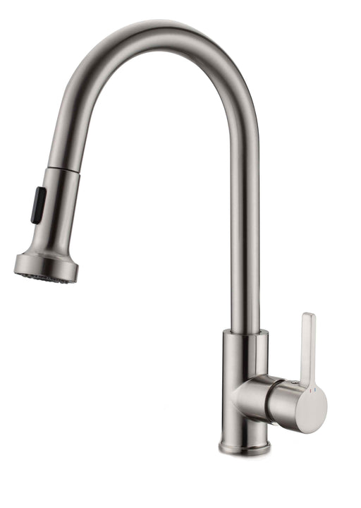 KITCHEN FAUCET #22721(SATIN NICKEL) CZ422002