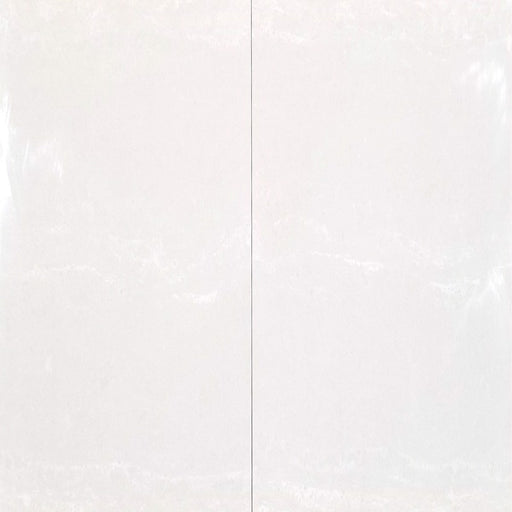 24x24 Gray White Nuvolatto Smooth Matt Floor & Wall Porcelain Tile $3.07 /sq.ft