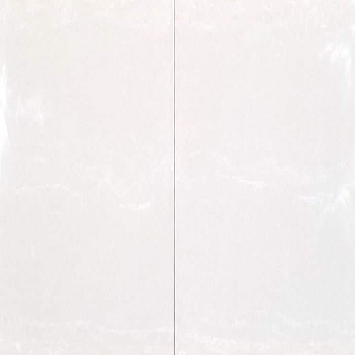 24x24 Gray White Nuvolatto Smooth Matt Floor & Wall Porcelain Tile $3.07 /sq.ft